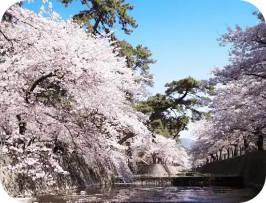 とわ訪問看護ステーション代表と看護スタッフ
